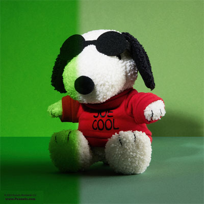 Snoopy Joe Cool